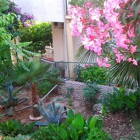 With Wifi Trpanj, Peljesac - 13664 * Trpanj